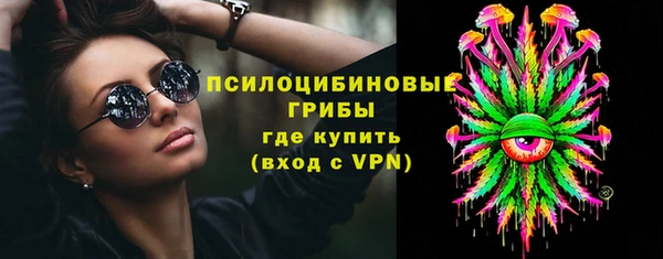 дживик Богородск