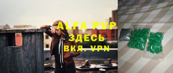 дживик Богородск