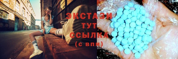 дживик Богородск